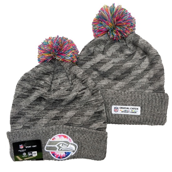 Seattle Seahawks NFL Beanies 017 Seattle Seahawks NFL Beanies 017