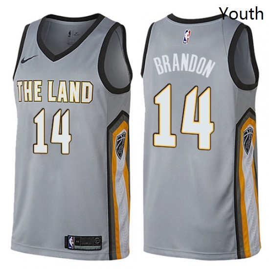 Youth Nike Cleveland Cavaliers 14 Terrell Brandon Swingman Gray NBA Jersey City Edition 