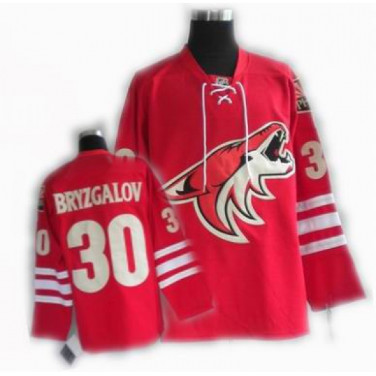 cheap Phoenix Coyotes jersey #30 BRYZGALOV jersey red cheap Phoenix Coyotes jersey #30 BRYZGALOV jersey red