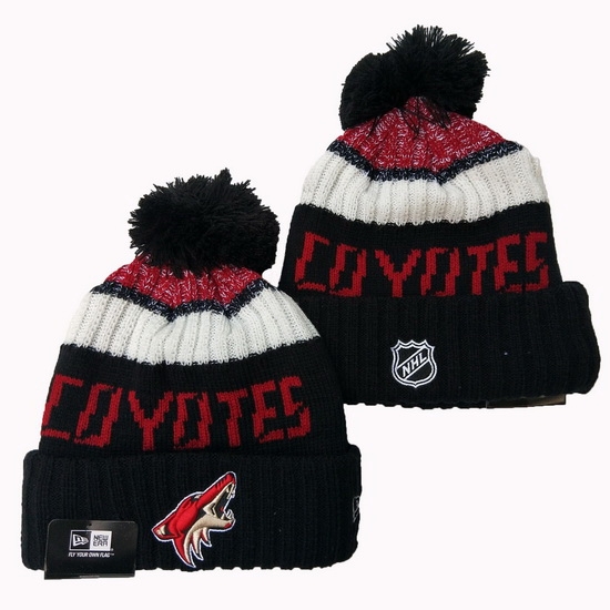 Arizona Coyotes NHL Beanies 001 Arizona Coyotes NHL Beanies 001