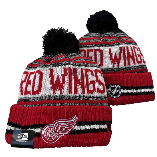 Detroit Red Wings Beanies 001 Detroit Red Wings Beanies 001