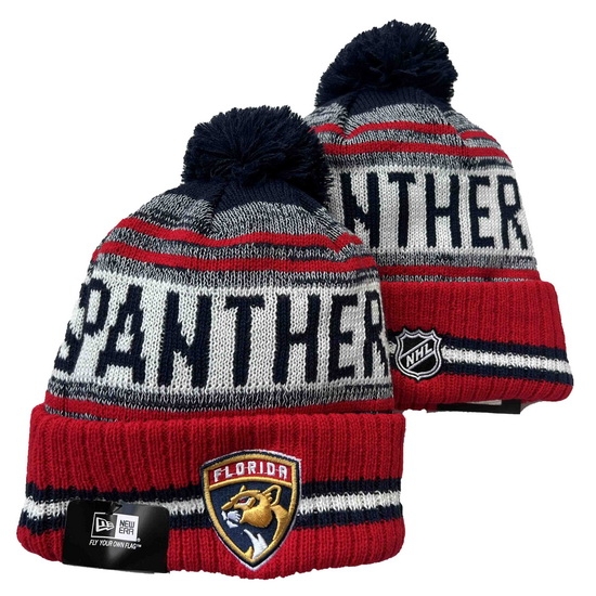 Florida Panthers Beanies 001 Florida Panthers Beanies 001