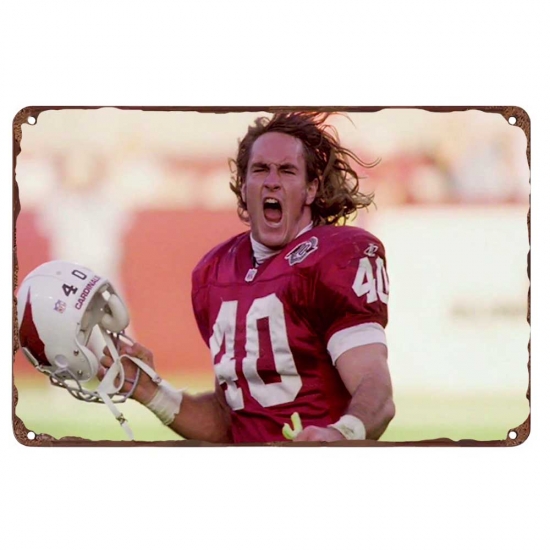 Arizona Cardinals Aluminum Sign 12x8 Inch Pat Tillman 001 Arizona Cardinals Aluminum Sign 12x8 Inch Pat Tillman 001